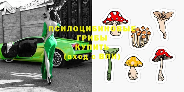 гидра Магас