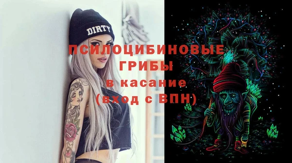 гидра Магас