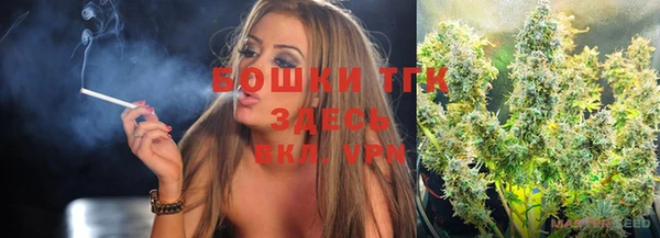 гидра Магас