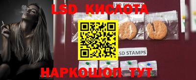 гидропоника Дубна