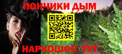 гидропоника Дубна