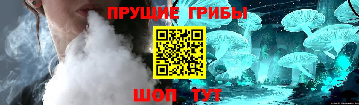 Псилоцибиновые грибы Cubensis Назрань